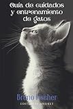  Guia de Cuidados y Entrenamiento de Gatos