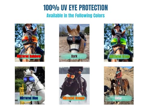 EQUICK Gafas de Caballo eVysor con protección UV para hípica 5
