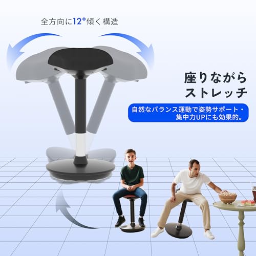 FLEXISPOT バランスチェア BH4