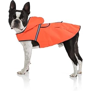 Bella & Balu Hunderegenmantel – Wasserdichter Hundemantel mit Kapuze und Reflektoren für trockene, sichere Gassigänge, den Hundespielplatz und den Urlaub mit Hund (S – Orange)