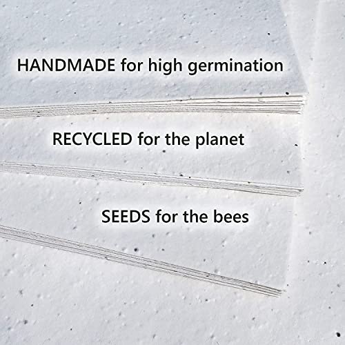 A6 Seed Paper by Greenili | Handmade, Recycled & Plantable Seeded Paper That Grows Bee Friendly Flowers | for Sustainable Seeded Thank You Notes, Eco Friendly Postcards, Wedding Place Cards etc. - Image 2