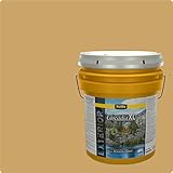 Rodda Paint CASCADIA XL Exterior Satin All Seasons Paint & Primer in One, 5-Gallon, Amber