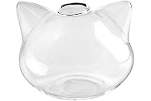 Enticing Cat Whisker Clear Glass Vases