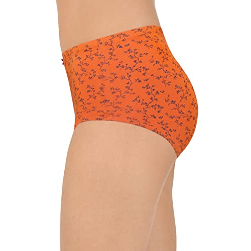 Image of Amante Inner Elastic Cotton Full Brief Panty Pack- Pack of 3