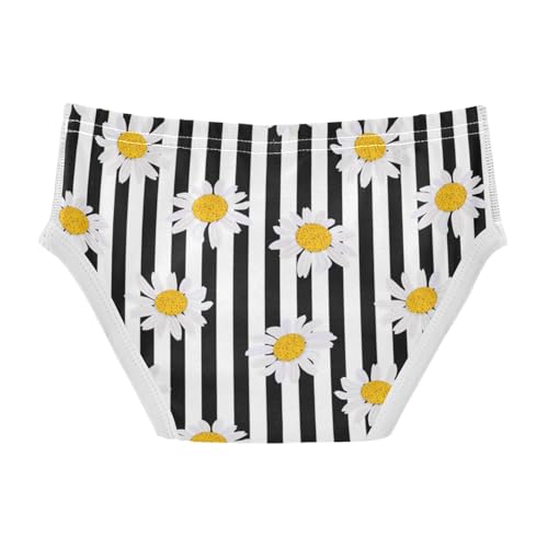 Boys' Exclusive Briefs Toddler Underwear 95% Combed Cotton Boxerbriefs 2T Daisy Black White Stripes 772
