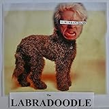 your reductive expressions are bothering me and I want you to stop saying them