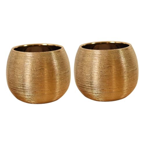 Offsch XTS2107YME1CD09E510WR8BK 2Pcs Brushed Round Flower Pot Succulent Pot Vase Plant Growing Pot Brass Flower Vase Gold Tone Planters Pottery Garden Pots Desk Topper Cactus Planter Ceramics Succulents Household cover