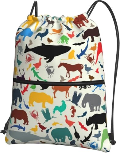 [ESASAV]  VGbg Jt ibvTbN TbNpbN ̑ В w ւ 傫 jZbNX