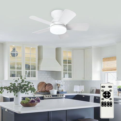 Image of Depuley Modern Ceiling Fan with Light: 25-Inch White Small Fans for Bedroom Indoor Outdoor - Dimmable Low Profile Ceiling Fans with Remote Control Flush Mount 5 Reversible White Blades 6 Speeds Timer