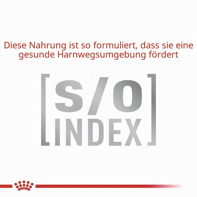 Royal Canin Veterinary Anallergenic für Katzen | 4 kg | Trockennahrung | Diät-Alleinfuttermittel für ausgewachsene Katzen | Stark hydrolysiertes Protein