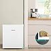 Hisense RR55D4AW1 - Mini Bar, Frigorífico Pequeño, 42L de Capacidad Neta, 51...