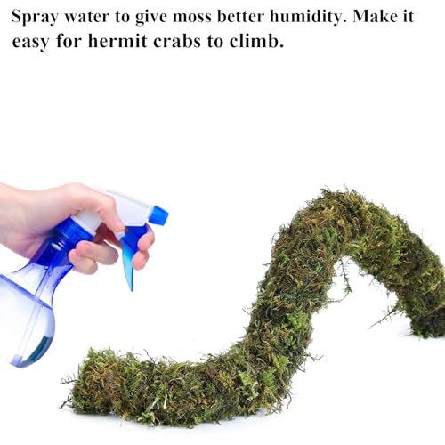 image for Mechpia Hermit Crab Accessories, Hermit Crab Climbing Toys Bendable Br