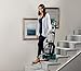 Hoover Power Scrub Elite Carpet Cleaner w/HeatForce, FH50250
