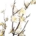 Ammyoo 4Pcs Cherry Blossom Branches Artificial Flowers for Spring Summer Indoor Decoration,Faux Long Stem Artificial Flowers for Wedding Home Office Bedroom Party Table Centerpieces Decor(White)