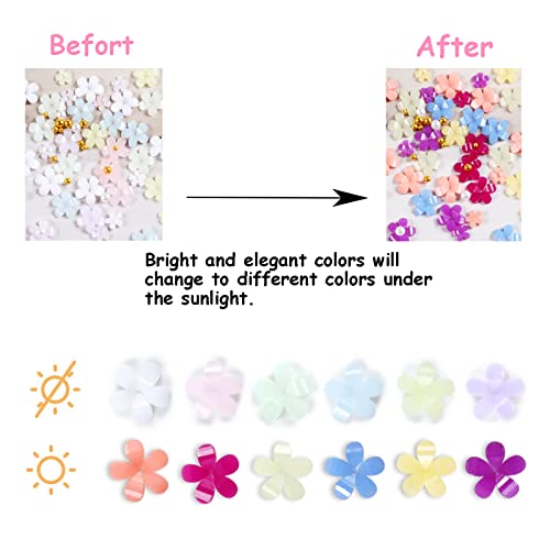 Baoximong 2 Boxes 3D Flower Nail Art Charms White Pink Nail Charms For Acrylic Nails Gold Silver Pearls Nail Art Supplies Rhinestones Spring Cherry Blossom Gems Design Nail Accessories Decorations #TOP2