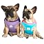 Cooling Shirts Purple Turquoise Rose 2pcs