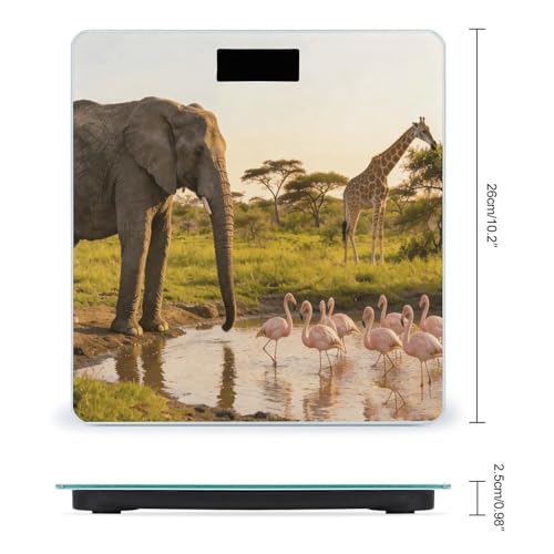 Báscula Digital de Baño con Pantalla LED Clara y Plataforma de Vidrio Templado miniatura 2