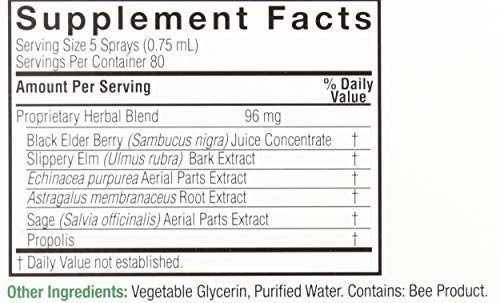 Natures Answer Sambucas Spray, 2 Fz #TOP3