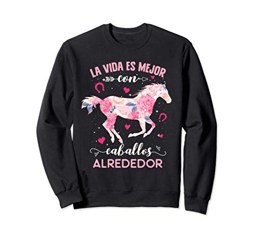 Sudaderos para caballos