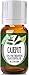 Cajeput Essential Oil - 100% Pure Therapeutic Grade Cajeput Oil - 10ml