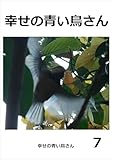幸せの青い鳥さん　7