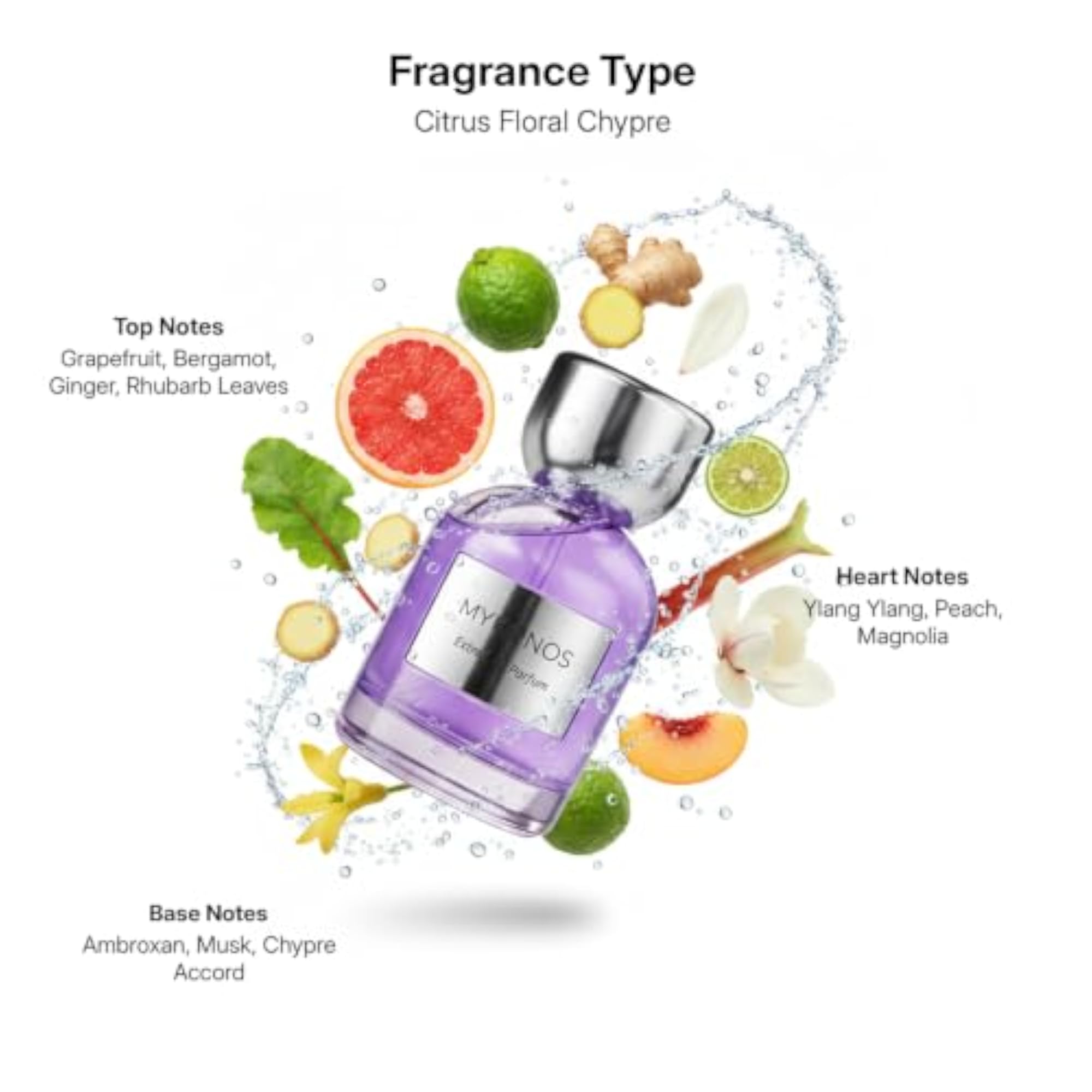 Reflection Elixir Extrait De Parfum, Unisex Fragrance