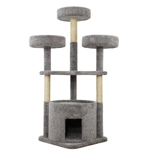 Main Coon Cat House Cat Tree