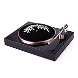 ★ Fokus auf Vinylfunktion, bestehen auf analoge Signal und Ablehnen Bluetooth digitales Signal