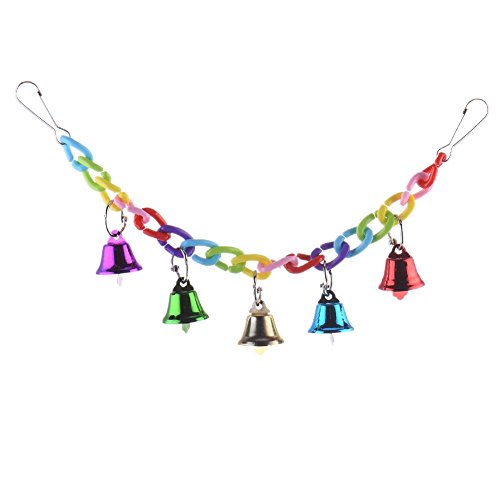 Keersi D5BV Parrot suspension bridge, acrylic - Image 3
