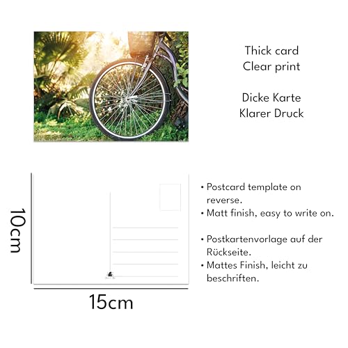 Bear and Bee 64 Postkarten – Natur, Tiere & Landschaftsfreude Große Mischung von Postkarten Postcrossing