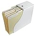 Evelots Magazine File Holder-Organizer-Full 4 Inch Wide-White-with Labels-Set/12