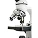Celestron – Celestron Labs – Monocular Head Compound Microscope – 40-1000x Magnification – Adjustable Mechanical Stage – Includes 2 Eyepieces and 10 Prepared Slides