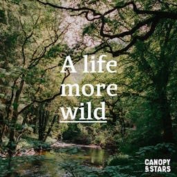 『A Life More Wild』のカバーアート