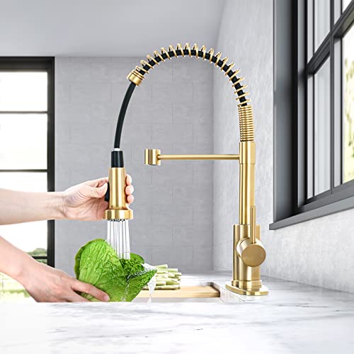 Hgn Brushed Gold Kitchen Faucet With Pull Down Sprayer,Single Handle Gold Kitchen Sink Faucet Stainless Steel Hgn-Cflt-2011G-Dp #TOP4