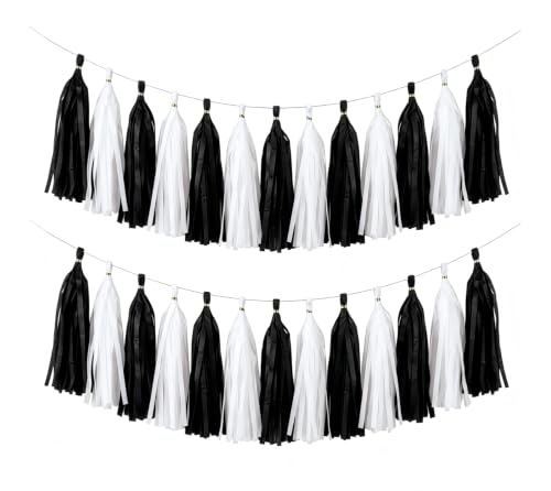 SIPRKAICT Black White Tassel Garland Banner,30 Pack Paper Tassels Streamers for Graduation Birthday Party Decor