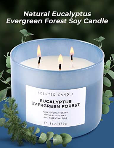 T&H EEF3W01 Eucalyptus Evergreen Forest Luxury 3 Wick Winter Pine Candle thumb #7