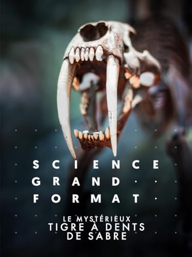 Le mystérieux tigre à dents de sabre