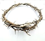 LION OF JUDAH MARKET