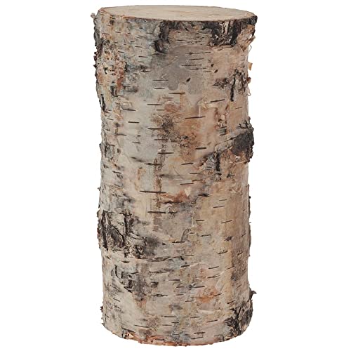 matches21 Birkenstämmchen Baumstamm gerader Schnitt - Holzstamm Naturmaterial DIY Bastelmaterial - je 1 STK. 7 x 15 cm