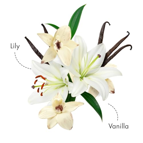 Image of Nykaa Delicate Vanilla Long Lasting Floral EDP | Perfume for Women | Day to Night Fragrance |Lily & Vanilla| Everyday Perfume for Her | Travel Friendly Size