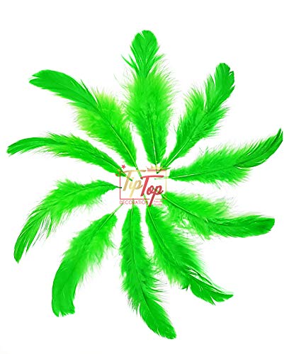 Image of Natural Dyed Feathers 10 cm (80 pieces) (Light Green)