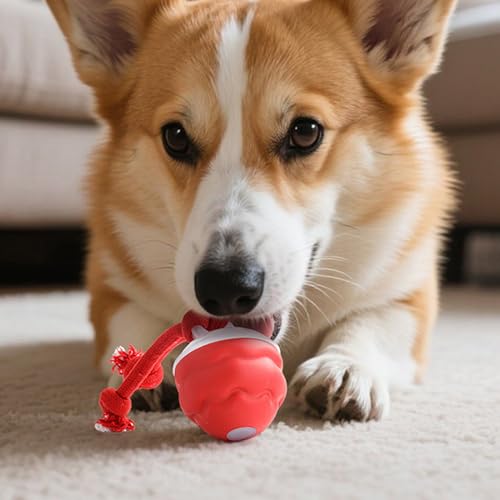 Jouets à mâcher pour chiot actif pour canaliser l'énergie et l'ennui - 8