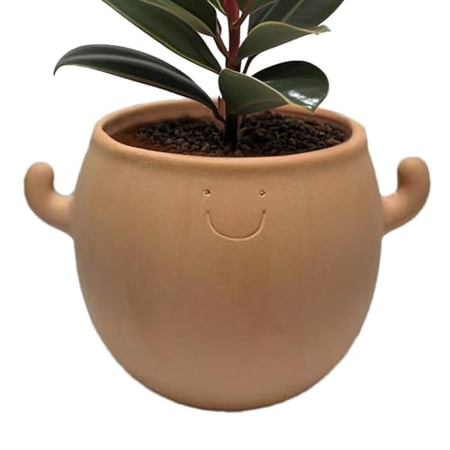 Ceramic Plant Pot, Succulent Face Planter, Decorative Smiling Pot for Indoor, Outdoor, Garden, Desk, Balcony, Courtyard, Offices, Home Decor, 4.72x3.54x3.07 Inches