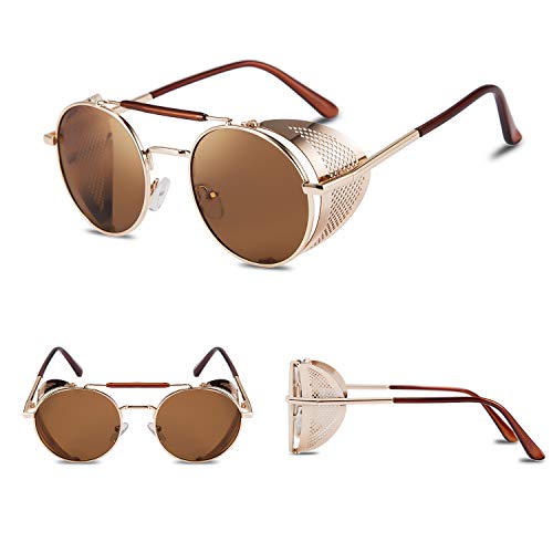 FEISEDY Steam Punk Sunglasses for Men Women Side Shield Round Steampunk Vintage Glasses Shades B25182