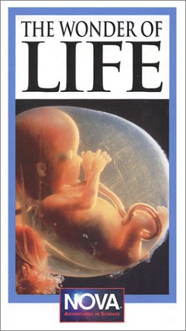 The Wonder of Life (The Miracle of Life / The Ultimate Journey / The Unknown World / The Photographer's Secrets) [VHS]