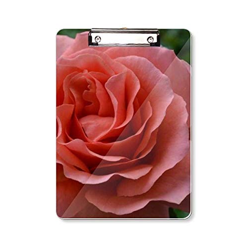 Porte-bloc avec feuilles vertes et roses roses format A4 rigide