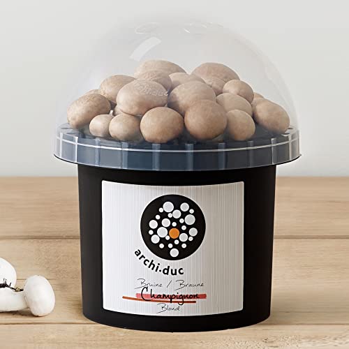 Kit de culture de champignons Cremini | Cultivez vos propres champignons bruns dans votre potager de cuisine