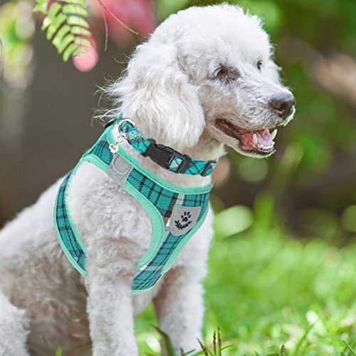 Pupteck Adjustable Dog Harness Collar And Leash Set Step In No Pull Pet Harness For Small Medium Dogs Puppy And Cats Outdoor Walking Running, Soft Mesh Padded Reflective Vest Harnesses, Lake Green S #TOP7