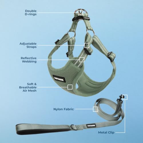 Image of Best Pet Supplies Voyager Adjustable Step-in Flex Breathable Mesh Dog Harness for Small Medium Large Dogs Leash Set (Moss Green), XS