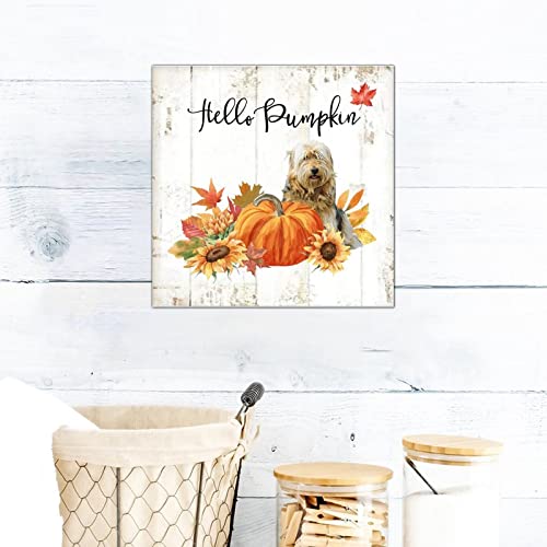 Plaque en bois Hello Pumpkin Basset Dog idée cadeau originale déco